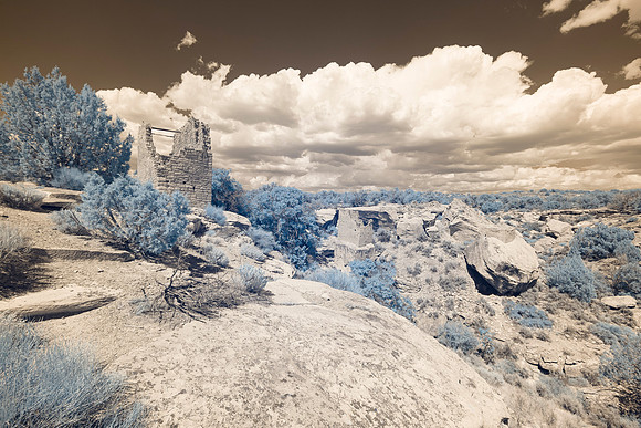 Holly Group IR