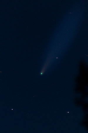 Comet Neowise