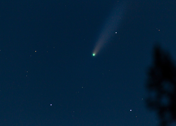 Comet Neowise
