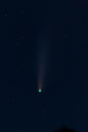 Comet Neowise