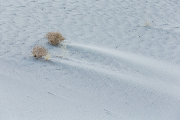 Eureka Dunes Comets