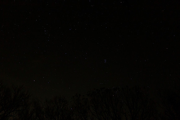 Backyard Sky