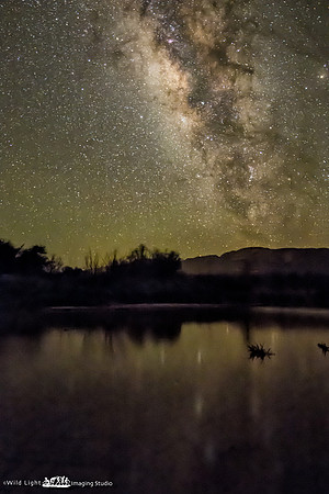 Pool of Stars