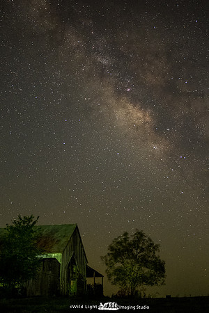 Barn_MG_0914