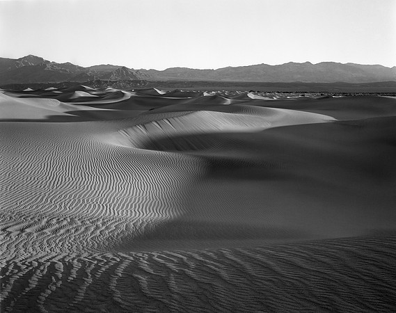 Death Valley Mesquite Dunes (F)