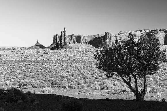 Three Sisters