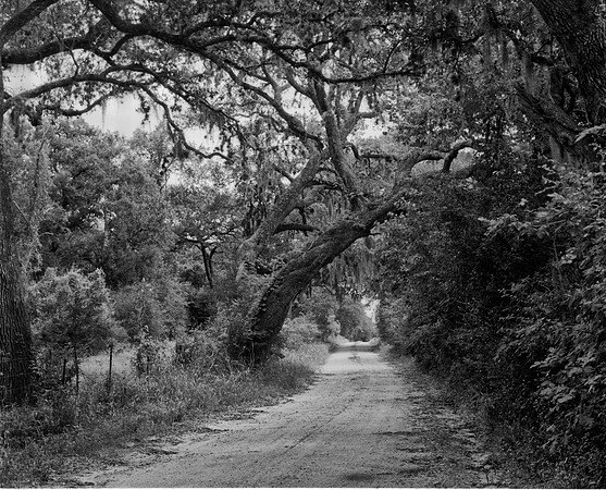 Seven Bridges Road