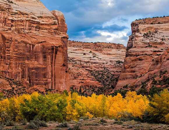 Canyon del Muerto IMG_5466