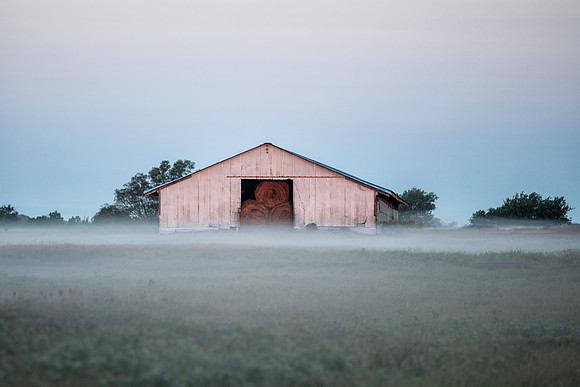 Morning Hay Barn