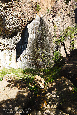 Cattail Falls_MLL1247