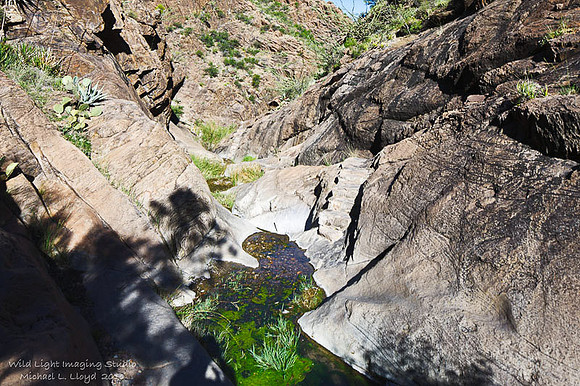 Window Trail_MLL1214