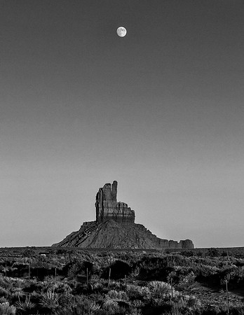 Shoot the Moon