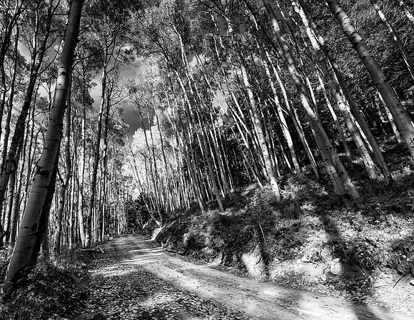 The Road Not Taken