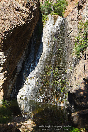 Cattail Falls_MLL1233
