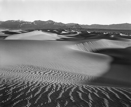 Death Valley Mesquite Dunes (F)