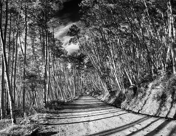 Backroad