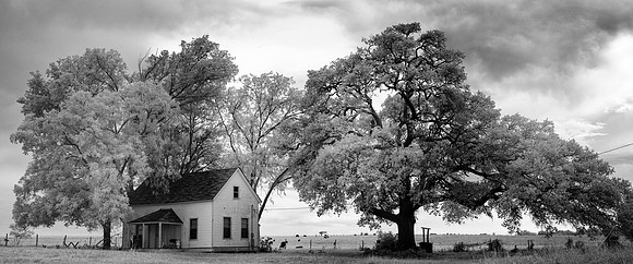 Homestead