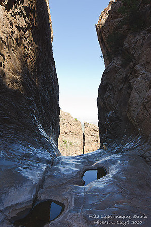 The Window_MLL1226