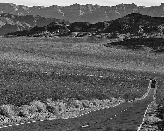 The Long Road Home