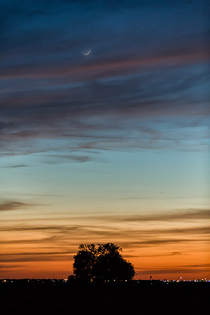 Crescent Moon MLL_1128 April 30, 2014