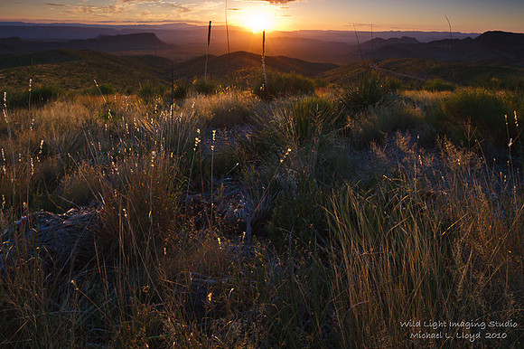 BiBe Sunset_MLL1167