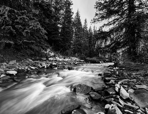 Late Fall Stream