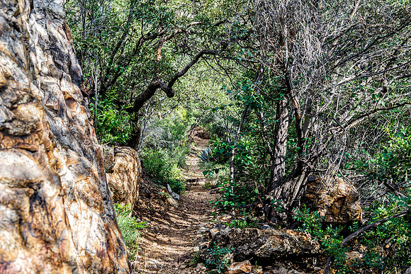 On the Trail